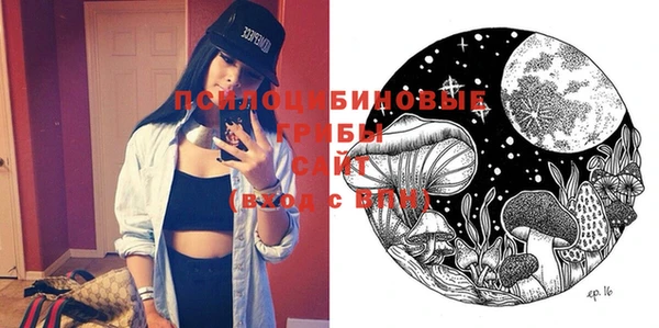ешки Осинники