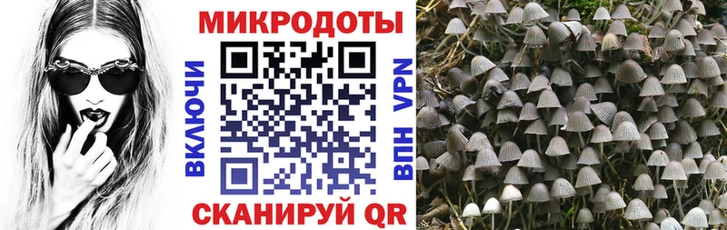 Галлюциногенные грибы Magic Shrooms  Лебедянь 